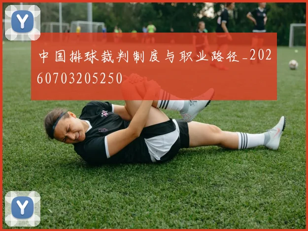 中国排球裁判制度与职业路径_20260703205250