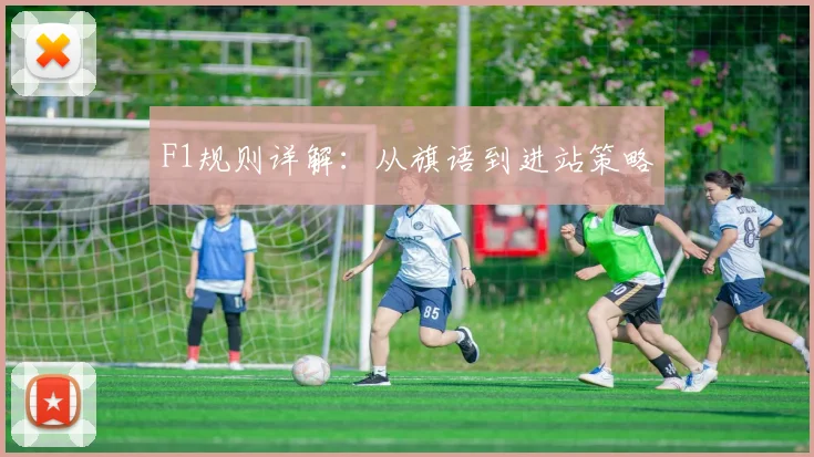 F1规则详解：从旗语到进站策略